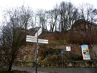 Bild: Ohne Laub