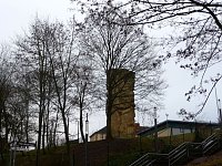 Bild: Ohne Laub