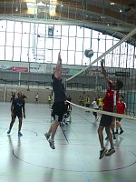 Bild: volleyball