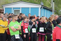 Bild: Harztorlauf und L&auml;mmerfest