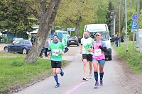 Bild: Harztorlauf und L&auml;mmerfest