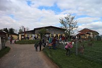 Bild: Harztorlauf und L&auml;mmerfest