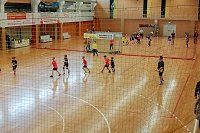 Bild: NSV Nachwuchs dominierte Wochenende