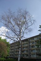 Die Auswirkungen des Hitze-Sommers 2018 sind auch im Stadtgebiet allgegenwärtig Bild: Die Auswirkungen des Hitze-Sommers 2018 sind auch im Stadtgebiet allgegenwärtig