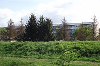 Die Auswirkungen des Hitze-Sommers 2018 sind auch im Stadtgebiet allgegenwärtig Bild: Die Auswirkungen des Hitze-Sommers 2018 sind auch im Stadtgebiet allgegenwärtig