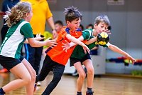 Bild: Handballzwerge im Mittelpunkt