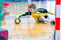 Bild: Handballzwerge im Mittelpunkt