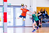 Bild: Handballzwerge im Mittelpunkt