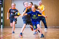 Bild: Handballzwerge im Mittelpunkt