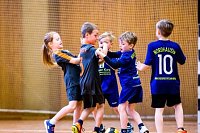 Bild: Handballzwerge im Mittelpunkt
