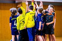 Bild: Handballzwerge im Mittelpunkt