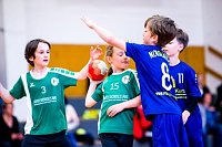 Bild: Handballzwerge im Mittelpunkt