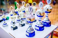 Bild: Handballzwerge im Mittelpunkt