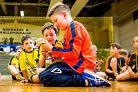 Bild: Handballzwerge im Mittelpunkt