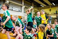 Bild: Handballzwerge im Mittelpunkt