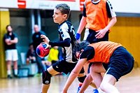 NSV-Handballer sind Vize-Landesmeister Bild: NSV-Handballer sind Vize-Landesmeister
