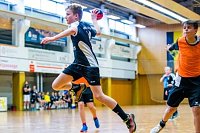 NSV-Handballer sind Vize-Landesmeister Bild: NSV-Handballer sind Vize-Landesmeister