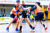 NSV-Handballer sind Vize-Landesmeister Bild: NSV-Handballer sind Vize-Landesmeister