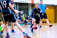 NSV-Handballer sind Vize-Landesmeister Bild: NSV-Handballer sind Vize-Landesmeister