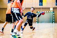 NSV-Handballer sind Vize-Landesmeister Bild: NSV-Handballer sind Vize-Landesmeister