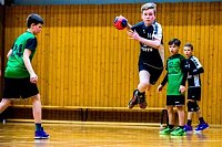 NSV-Handballer sind Vize-Landesmeister Bild: NSV-Handballer sind Vize-Landesmeister
