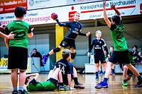 NSV-Handballer sind Vize-Landesmeister Bild: NSV-Handballer sind Vize-Landesmeister