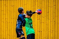 NSV-Handballer sind Vize-Landesmeister Bild: NSV-Handballer sind Vize-Landesmeister