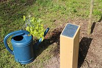 Eine Ära geht zu Ende - Gisela Hartmann wurde heute als Vorsitzende der Bürgerstiftung Park Hohenrode verabschiedet Bild: Eine Ära geht zu Ende - Gisela Hartmann wurde heute als Vorsitzende der Bürgerstiftung Park Hohenrode verabschiedet