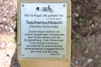 Eine Ära geht zu Ende - Gisela Hartmann wurde heute als Vorsitzende der Bürgerstiftung Park Hohenrode verabschiedet Bild: Eine Ära geht zu Ende - Gisela Hartmann wurde heute als Vorsitzende der Bürgerstiftung Park Hohenrode verabschiedet