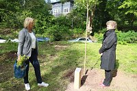 Eine Ära geht zu Ende - Gisela Hartmann wurde heute als Vorsitzende der Bürgerstiftung Park Hohenrode verabschiedet Bild: Eine Ära geht zu Ende - Gisela Hartmann wurde heute als Vorsitzende der Bürgerstiftung Park Hohenrode verabschiedet