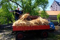 Schleppertreffen in Heringen Bild: Schleppertreffen in Heringen