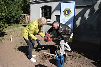 Bild: Lions-Rosen f&uuml;r den Park Hohenrode gespendet
