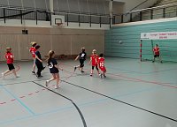 Bild: Wochenende im Zeichen des Handballs