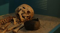 Bild: Neue arch&auml;ologische Dauerausstellung im Heringer Schloss