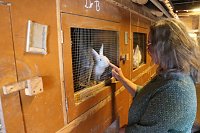 Bild: Besuch in der LandWerkstatt Heringen