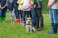 Bild: Gem&uuml;seackerdemie der Grundschule Niedergebra