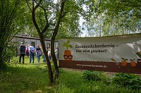 Bild: Gem&uuml;seackerdemie der Grundschule Niedergebra