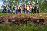 Bild: Gem&uuml;seackerdemie der Grundschule Niedergebra