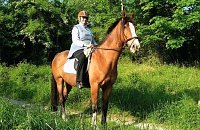 Bild: Heidi Freymark liebt Pferde und will auch mit 76 Jahren gern hoch zu Ross durch die Gegend reiten.