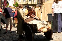 Bild: Sachsen-Anhalt-Tag in Quedlinburg