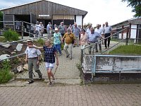 Bild: Schloss, Waffen, Haflinger, Reiterspiele, Stutenmilchlik&ouml;r
