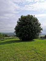 Bild: Impressionen rund um Haferungen