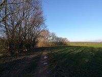 Bild: Impressionen rund um Haferungen