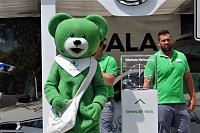 Bild: 51. Rolandsfest 2019