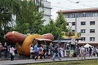Bild: 51. Rolandsfest 2019
