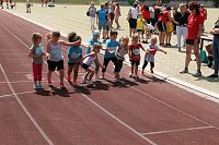 Bild: Mini-WM der Leichtathletik