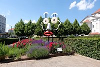 Bild: Farbenpracht und Schmetterlinge