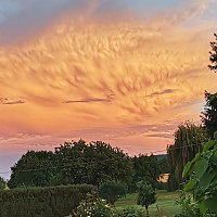 Bild: Wolkentiere