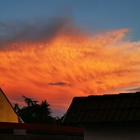 Bild: Wolkentiere