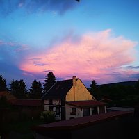 Bild: Wolkentiere